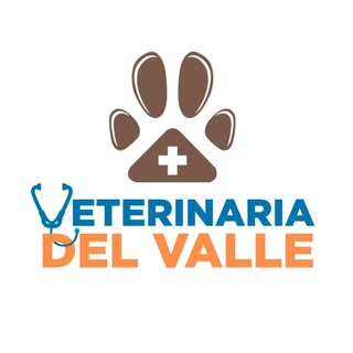 Logo VDV
